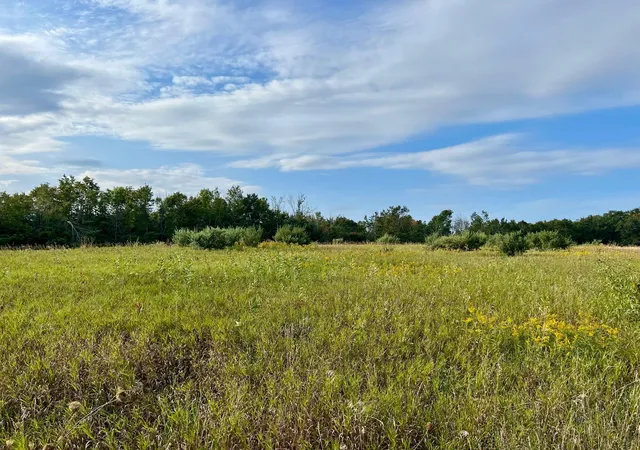 Homes for sale in Ellsworth, MI | 00 Skinner Rd, Ellsworth, MI 49729 | MLS# 80062084