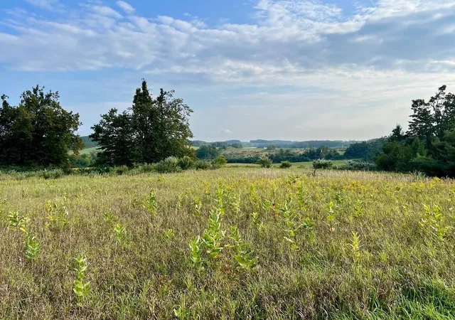 Homes for sale in Ellsworth, MI | 00 Skinner Rd, Ellsworth, MI 49729 | MLS# 80062084