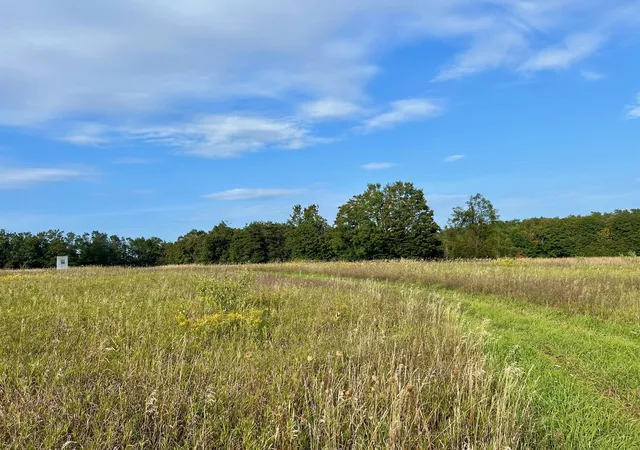 Homes for sale in Ellsworth, MI | 00 Skinner Rd, Ellsworth, MI 49729 | MLS# 80062084