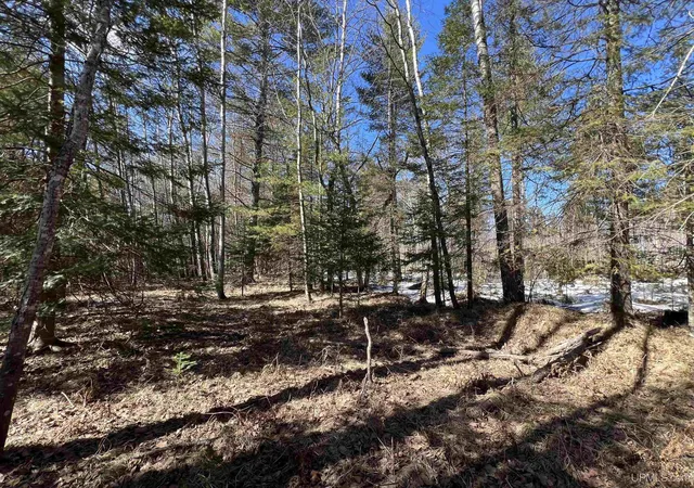 Homes for sale in Crystal Falls, MI | Tbd Co 424 Rd, Crystal Falls, MI 49920 | MLS# 50209618