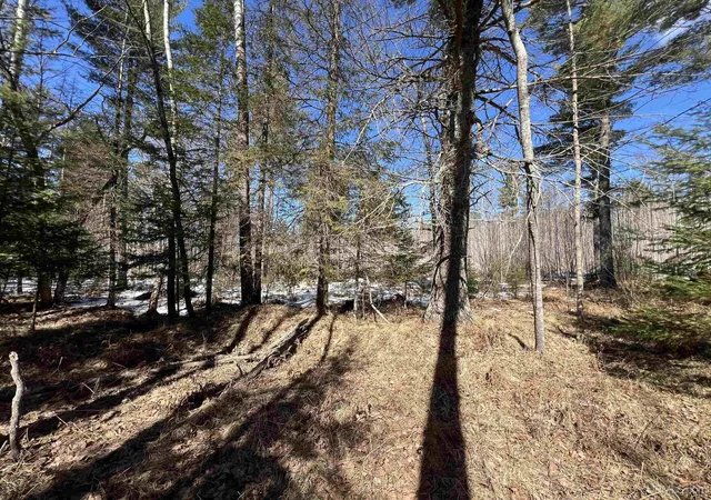 Homes for sale in Crystal Falls, MI | Tbd Co 424 Rd, Crystal Falls, MI 49920 | MLS# 50209618
