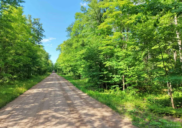 Photo 1 of Sale Pending at Tbd S Laird Rd, Pelkie, MI 49958 | MLS# 50217709 | Listing updated on 2026-08-30