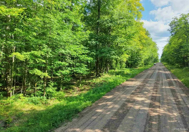 Photo 2 of Sale Pending at Tbd S Laird Rd, Pelkie, MI 49958 | MLS# 50217709 | Listing updated on 2026-08-30