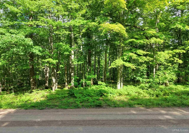 Photo 3 of Sale Pending at Tbd S Laird Rd, Pelkie, MI 49958 | MLS# 50217709 | Listing updated on 2026-08-30