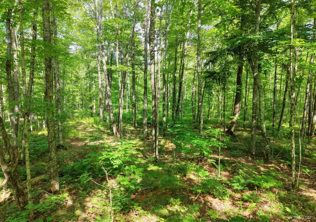 Photo 4 of Sale Pending at Tbd S Laird Rd, Pelkie, MI 49958 | MLS# 50217709 | Listing updated on 2026-08-30