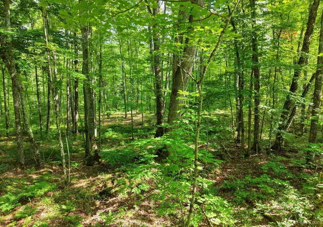 Photo 5 of Sale Pending at Tbd S Laird Rd, Pelkie, MI 49958 | MLS# 50217709 | Listing updated on 2026-08-30