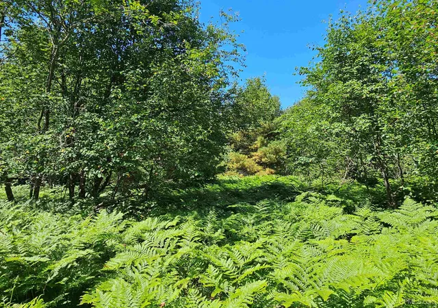 1st image of Tbd Parcel M16 Applewood Dr, Houghton, MI 49931 | MLS# 50214728