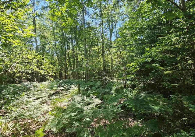 8th image of Tbd Parcel M16 Applewood Dr, Houghton, MI 49931 | MLS# 50214728