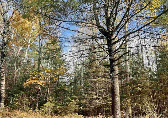Land for sale at 3260 W Co Rd 565, Gwinn, MI 49841 | MLS# 50225206