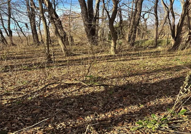 Photo 3 of Land for sale at 00 Faussett Rd, Fenton, MI 48430 | MLS# 60954987 | Listing updated on 2026-08-11
