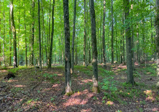 Photo 3 of Sale Pending at 2504 S Little Harbor Rd, Manistique, MI 49854 | MLS# 50214943 | Listing updated on 2026-07-19