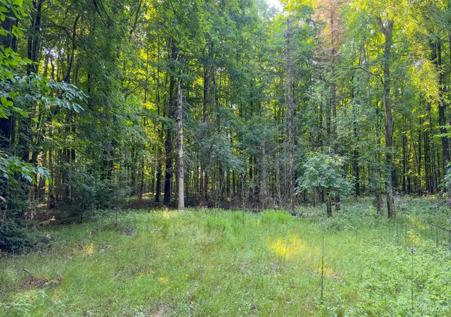 Photo 3 of Sale Pending at 2504 S Little Harbor Rd, Manistique, MI 49854 | MLS# 50214943 | Listing updated on 2026-07-19