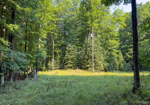 Photo 4 of Sale Pending at 2504 S Little Harbor Rd, Manistique, MI 49854 | MLS# 50214943 | Listing updated on 2026-07-19