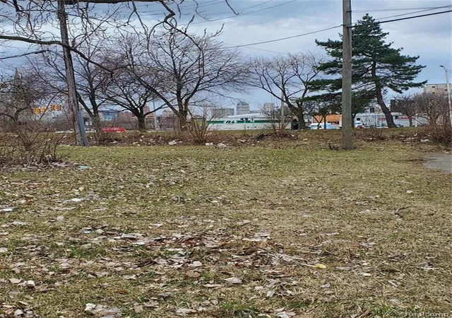 Photo 3 of Land for sale at 2527 Dubois, Detroit, MI 48207 | MLS# 60970049 | Listing updated on 2026-07-07