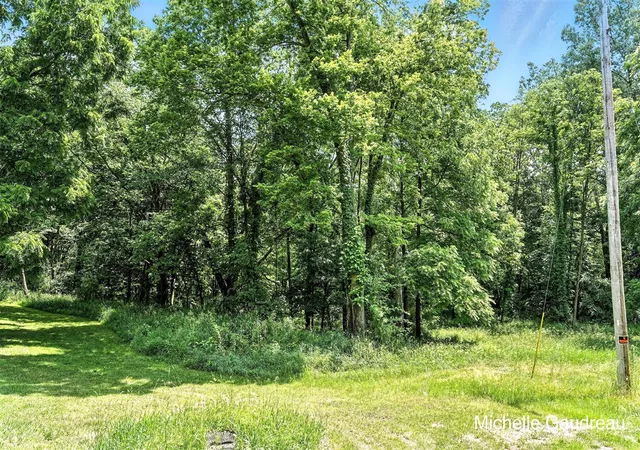 3rd image of Parcel B W Irving Rd, Middleville, MI 49333 | MLS# 70478292
