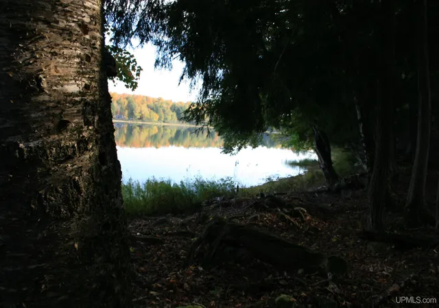 Photo 12 of Land for sale at Tbd University Rd, Iron River, MI 49935 | MLS# 50210907 | Listing updated on 2026-06-15