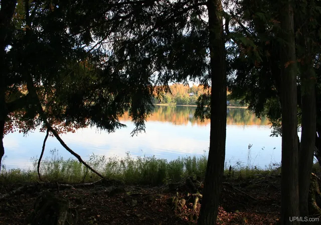 Photo 2 of Land for sale at Tbd University Rd, Iron River, MI 49935 | MLS# 50210907 | Listing updated on 2026-06-15