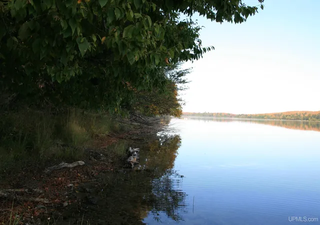 Photo 4 of Land for sale at Tbd University Rd, Iron River, MI 49935 | MLS# 50210907 | Listing updated on 2026-06-15