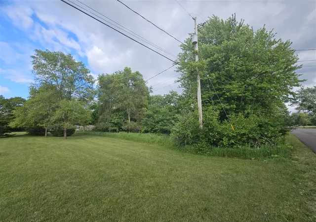 Homes for sale in Brooklyn, MI | 0 V/L Carlysle Dr, Brooklyn, MI 49230 | MLS# 70540280