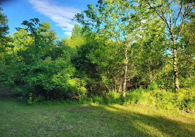 Homes for sale in Plainwell, MI | V/l S 10th St, Plainwell, MI 49080 | MLS# 70527460