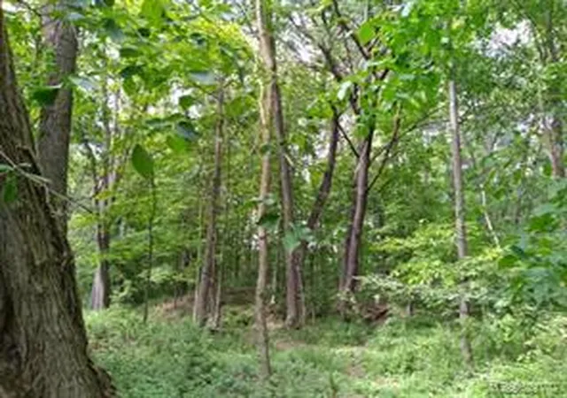 Homes for sale in Pinckney, MI | 000 Rose Hill Rd, Pinckney, MI 48169 | MLS# 61009453