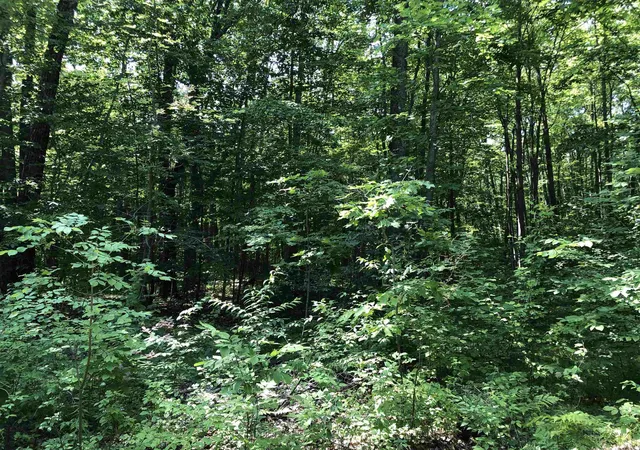 Photo 1 of Sale Pending at V/l Alpine Dr, Lake Station, MI 48632 | MLS# 50217004 | Listing updated on 2026-08-29