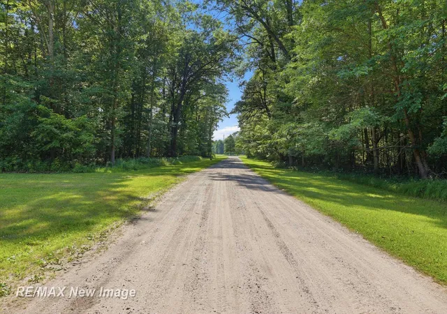 Homes for sale in Shepherd, MI | 133 S Magruder Rd, Shepherd, MI 48883 | MLS# 50214288