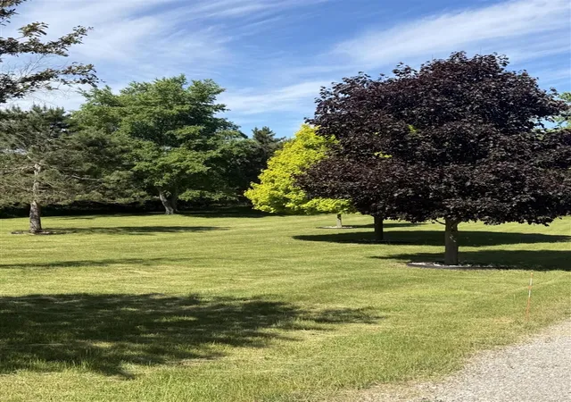 Homes for sale in Harrisville, MI | 1595 S Poor Farm Rd, Harrisville, MI 48740 | MLS# 70543633