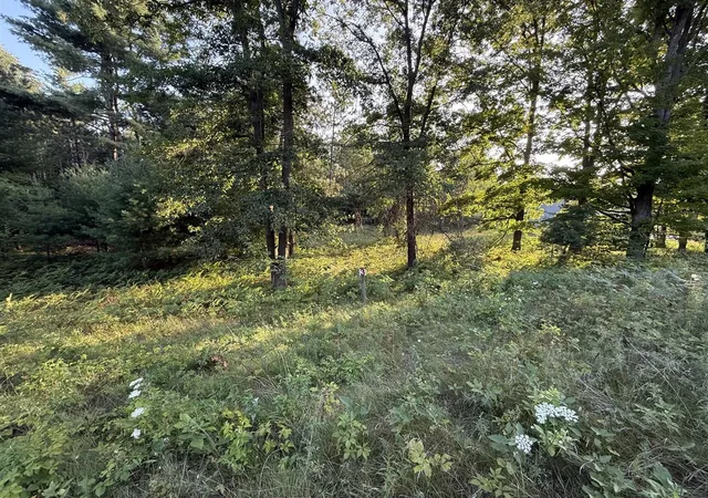 Land for sale at 16345 Mitchell Crk Trl, Big Rapids, MI 49307 | MLS# 70553590