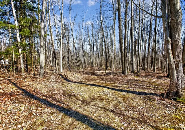 Homes for sale in Greenbush, MI | 2633 S Stevens Rd, Greenbush, MI 48738 9671 | MLS# 60982326