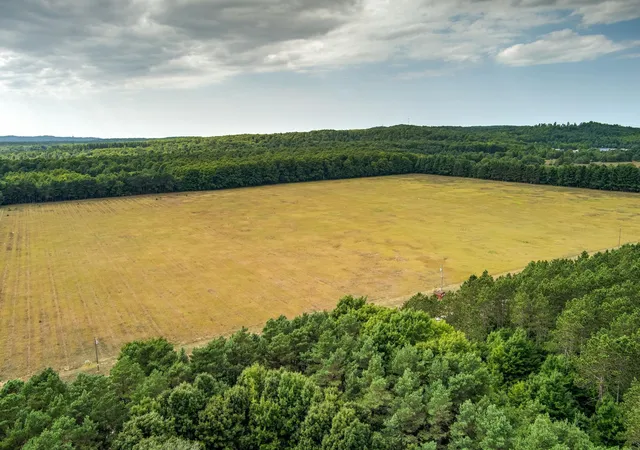 2nd image of 12500 & 12750 S Plowman Rd, Empire, MI 49630 | MLS# 80072561