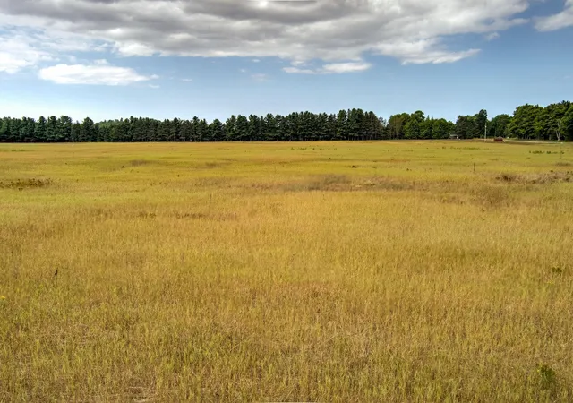 4th image of 12500 & 12750 S Plowman Rd, Empire, MI 49630 | MLS# 80072561