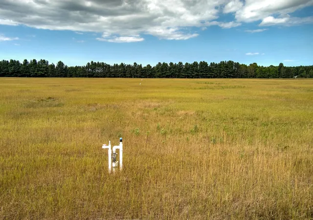 5th image of 12500 & 12750 S Plowman Rd, Empire, MI 49630 | MLS# 80072561