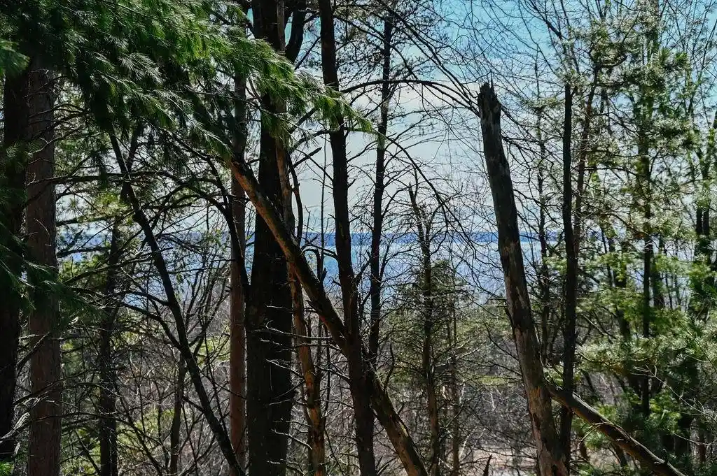 Listing Photo 2 - Condo for sale in 11255 E Fort Rd located at 11255 E Fort Rd, Suttons Bay, MI 49682 - Unit #H1