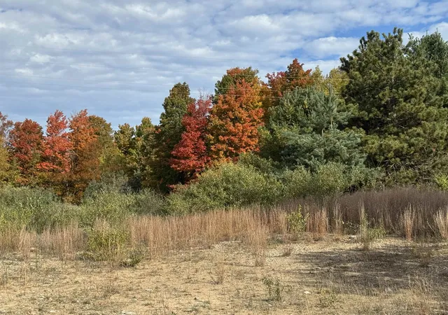 Photo 1 of Land for sale at 42 Acres January Dr, Traverse City, MI 49684 | MLS# 80065825 | Listing updated on 2026-08-04