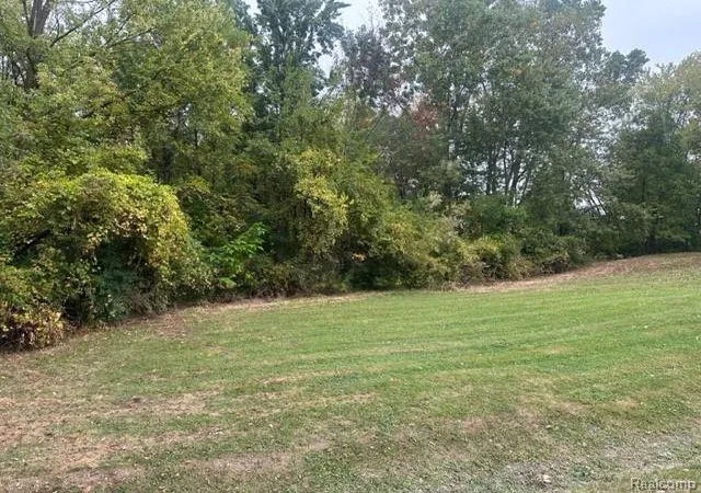 4th image of Lot B Chapin St, Grand Blanc, MI 48507 | MLS# 60939349