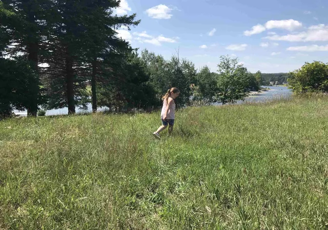 Photo 4 of Land for sale at #3 Peterson Dr, Cadillac, MI 49601 | MLS# 80010202 | Listing updated on 2026-08-17
