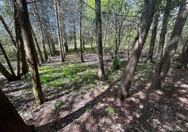 4th image of 2356 S Dye Rd, Flint, MI 48532 4126 | MLS# 60999574