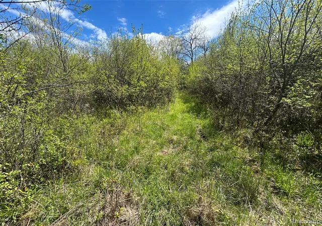 5th image of 2356 S Dye Rd, Flint, MI 48532 4126 | MLS# 60999574