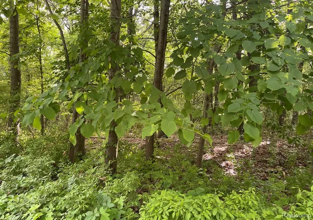Photo 3 of Land for sale at 09 Tipsico Lake Rd, Highland, MI 48357 | MLS# 61000998 | Listing updated on 2026-07-07