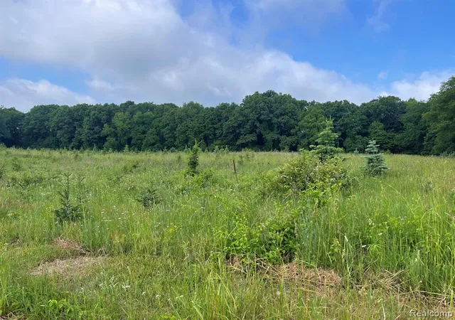 Photo 4 of Land for sale at 09 Tipsico Lake Rd, Highland, MI 48357 | MLS# 61000998 | Listing updated on 2026-07-07