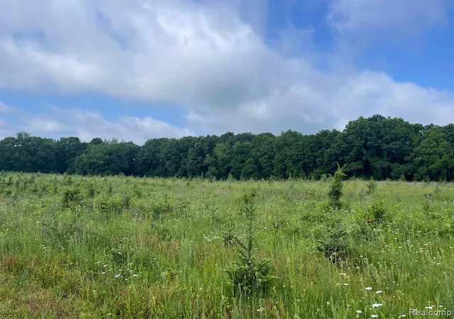 Photo 5 of Land for sale at 09 Tipsico Lake Rd, Highland, MI 48357 | MLS# 61000998 | Listing updated on 2026-07-07