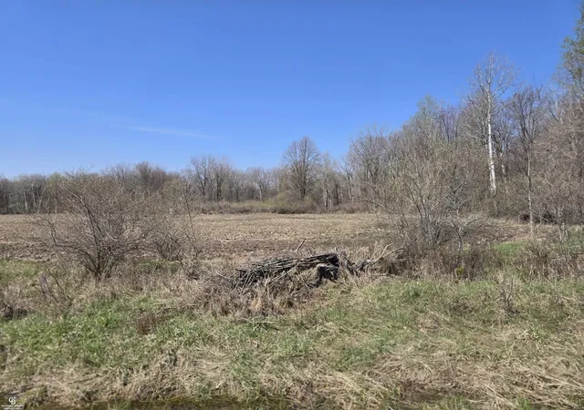 Homes for sale in Sandusky, MI | 1182 Fetting Vl Rd, Sandusky, MI 48471 | MLS# 50204990