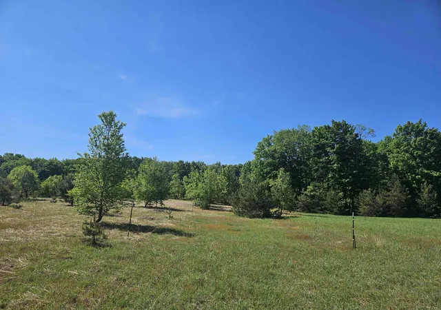 Homes for sale in Kalkaska, MI | V/l Parcel C Se Grass Lake Rd, Kalkaska, MI 49646 | MLS# 80069388
