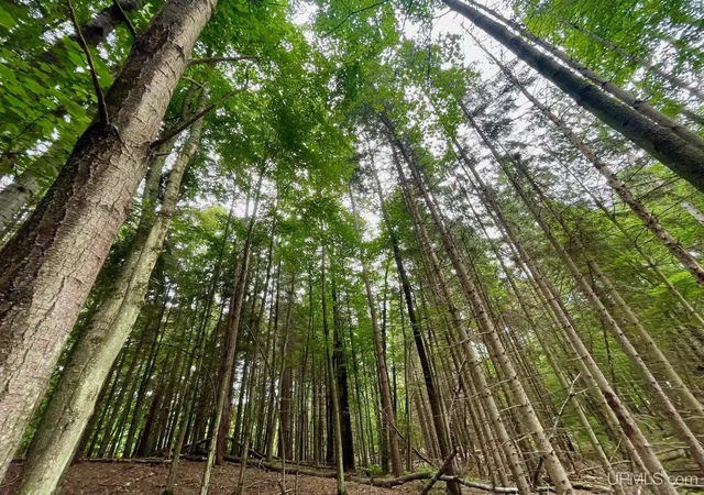 Photo 1 of Land for sale at Parcel B Tbd Heather Ln, Marquette, MI 49855 | MLS# 50217667 | Listing updated on 2026-08-08