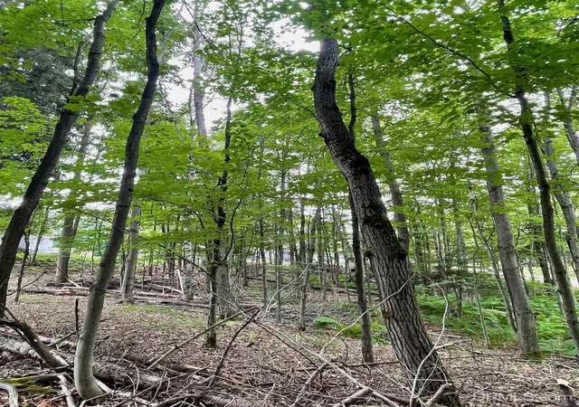 Photo 3 of Land for sale at Parcel B Tbd Heather Ln, Marquette, MI 49855 | MLS# 50217667 | Listing updated on 2026-08-08