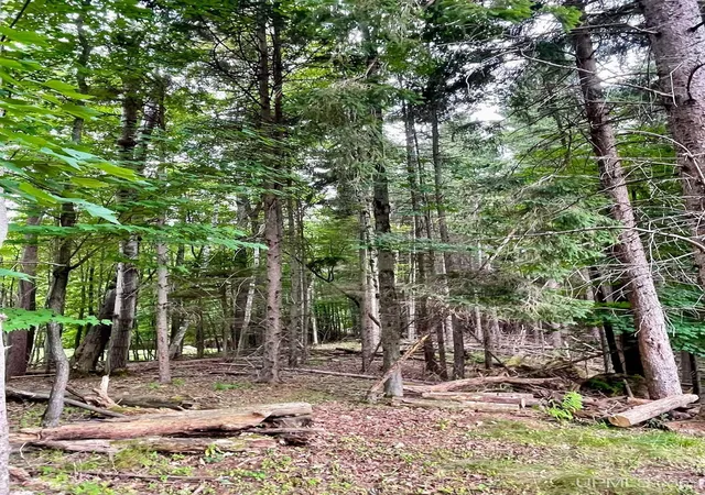 Photo 3 of Land for sale at Parcel B Tbd Heather Ln, Marquette, MI 49855 | MLS# 50217667 | Listing updated on 2026-08-08