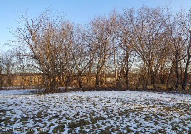 image of 14404 Manning St, Detroit, MI 48205 | MLS# 60187566