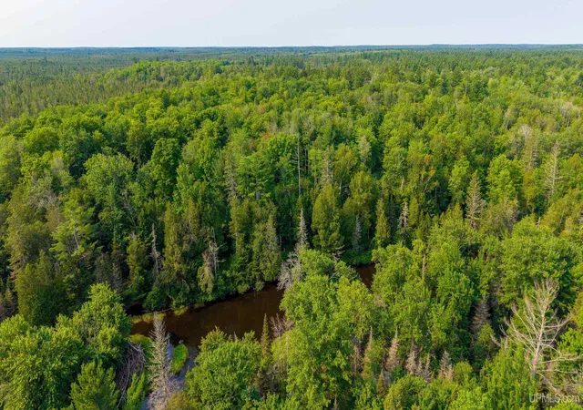 5th image of 18 Acres Off Bobs Creek Truck Trl, Gwinn, MI 49841 | MLS# 50217504