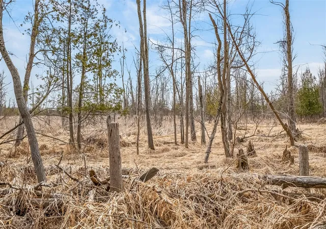 Photo 2 of Land for sale at V/l 10a 120th Ave, Hart, MI 49420 | MLS# 70524757 | Listing updated on 2026-06-23